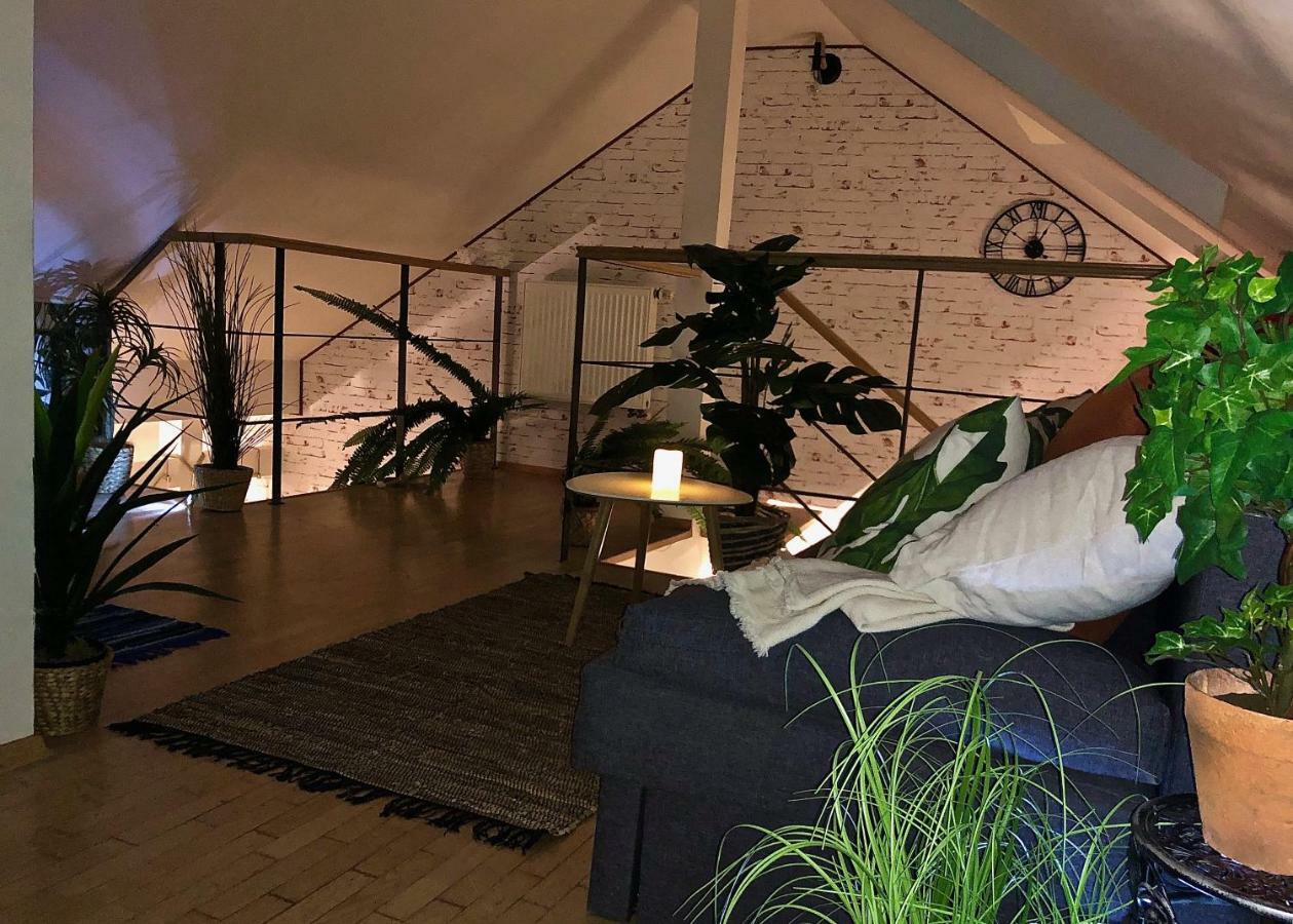 Duplex With Quite Terrace On Wenceslas Sq. プラハ エクステリア 写真